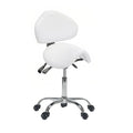 Esthetician Saddle Stool